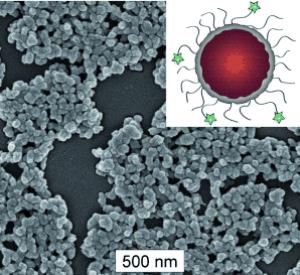 Phosphorescent nanoscale coordination polymer, NCP