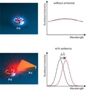Nanoantenna Plasmonic Sensing