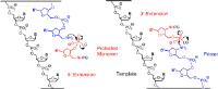 DNA-templated synthesis