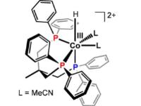 Water-Splitting Catalysts