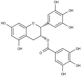 Epigallocatechin 3-gallate, EGCG Epigallocatechin 3-gallate, EGCG