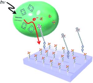 Artificial photosystem