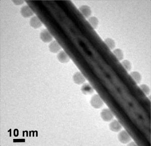 WS2 nanotube WS2 nanotube