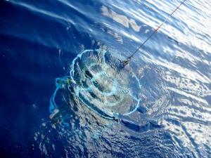 Water Samples in the Sargasso Sea