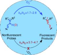 The deuterated probes are more effective