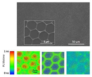 Conjugated polymer honeycomb