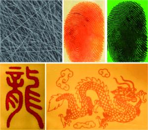 Fluorescence fingerprint recognition