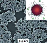 Phosphorescent nanoscale coordination polymer, NCP