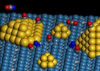 Dual Catalytic Site