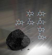 Meteorites Contain a Large Variety of Nucleobases