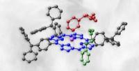 Polymer nicotine trap