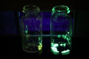 Phosphorescent Crystals