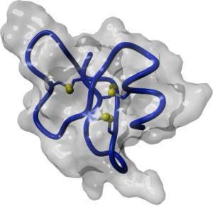 Structure of the Folded, Inactive State of Human Beta-Defensin 1