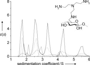 Protein-like Oligomerization of Carbohydrates