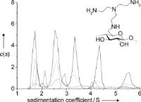 Protein-like Oligomerization of Carbohydrates