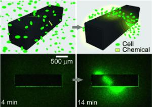 3D chemical patterns