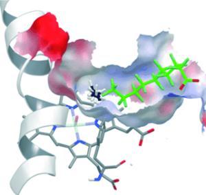 Enzyme tuning