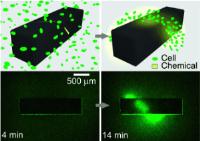 3D chemical patterns