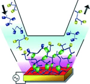 Polymers that 'click'