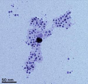 Silver nanoparticles formed from silver ions