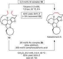 Nakadomarin A synthesis