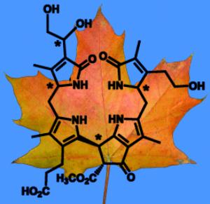 Dioxobilane