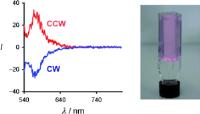 Hydrogels with embedded Rhodamine B