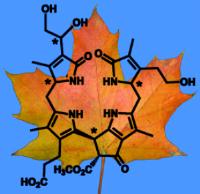 Dioxobilane