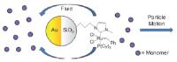 Polymerization-Powered Motor