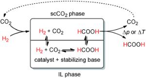 Dual role for carbon dioxide