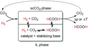 Dual role for carbon dioxide Dual role for carbon dioxide