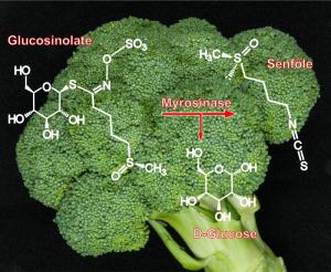 Mustard oils as chemical mace