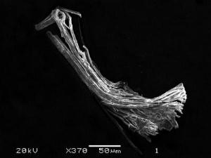 Bronze Nanotubes with Unusual Symmetry