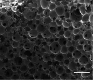 Macroporous polystyrene