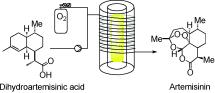 Artemisinin Synthesis