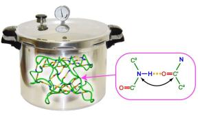 High-pressure nmr