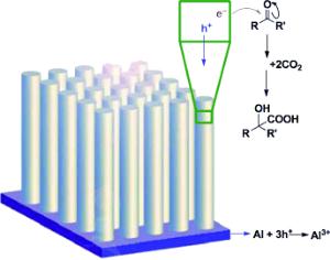 Silicon Nanowires as Photoelectrodes