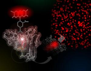 22'-Azido RNA