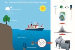 Chemical memory of water