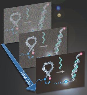 Optimized results from photoluminescent probes