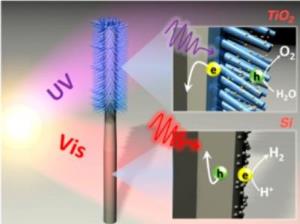 Integrated Artificial Photosynthesis Nanosystem